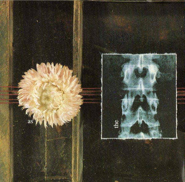My Dying Bride -As The Flower Withers