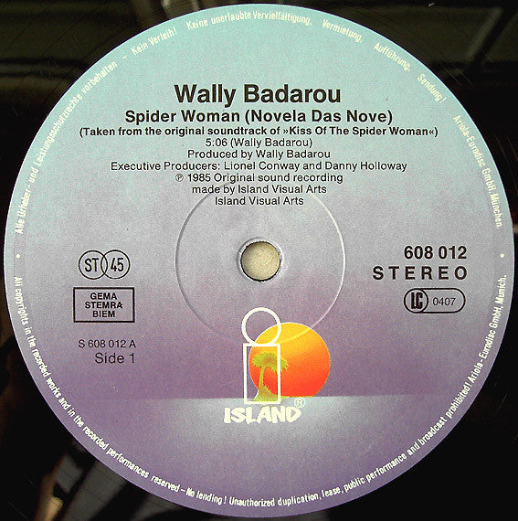Wally Badarou -Novela Das Nove (Spider Woman)