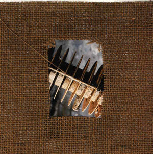 Noise-Maker's Fifes -Intervisage