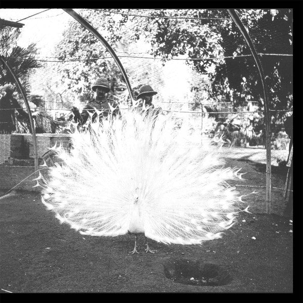 Jack White (2) -Blunderbuss