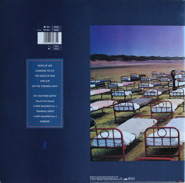 Pink Floyd - A Momentary Lapse Of Reason