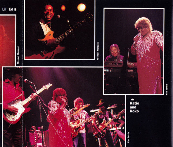 Various -The Alligator Records 20th Anniversary Tour