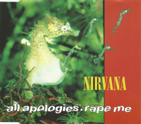 Nirvana -All Apologies / Rape Me