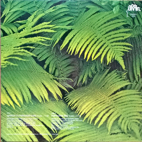 Edgar Froese -Ypsilon In Malaysian Pale