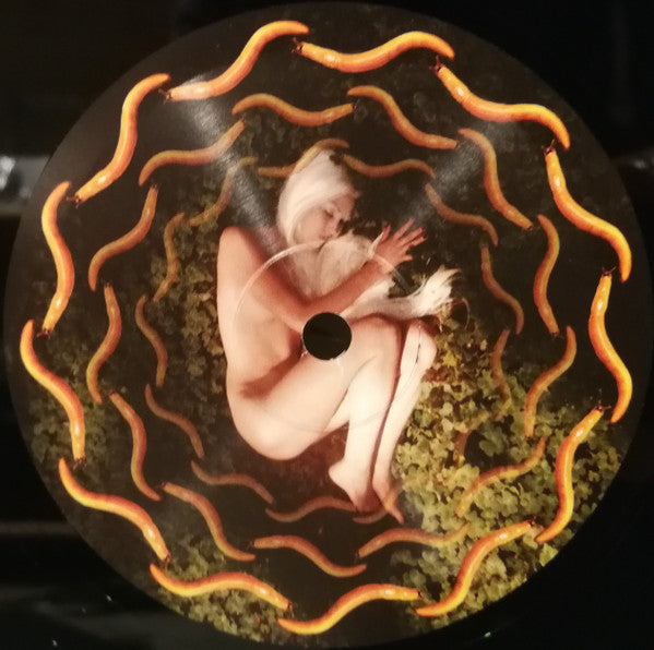 A Perfect Circle - Thirteenth Step