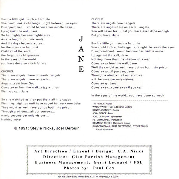 Stevie Nicks -Street Angel