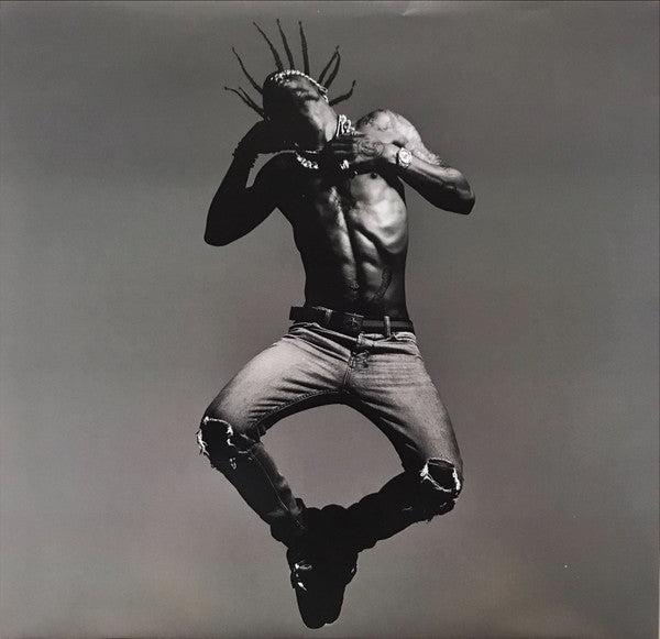Travis Scott (2) -Birds In The Trap Sing Mcknight
