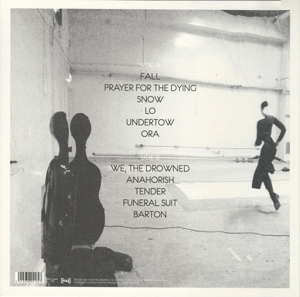 Lisa Hannigan -At Swim