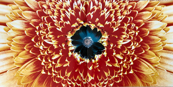 Rammstein - Herzeleid