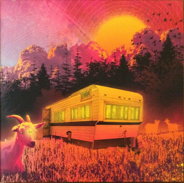 Tyler Childers -Country Squire