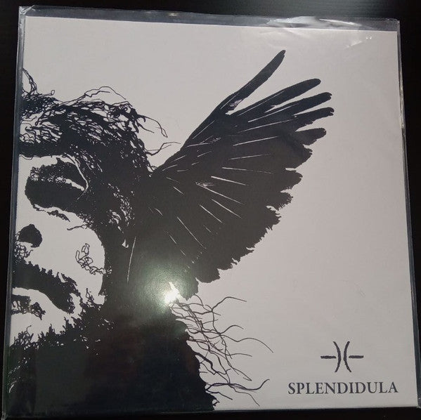 Splendidula -Somnus
