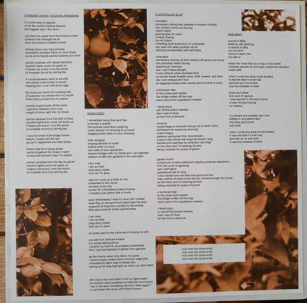 Ryley Walker -Course In Fable