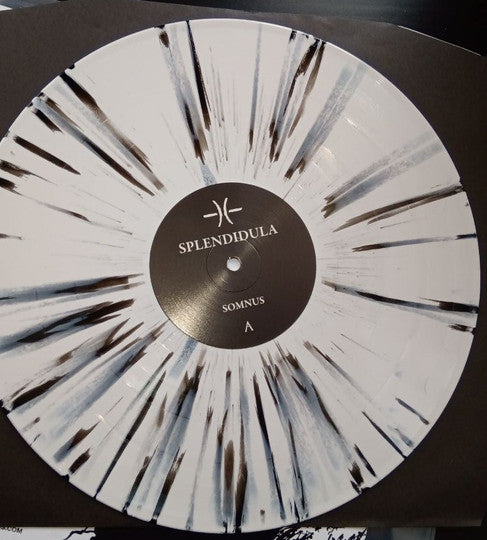Splendidula -Somnus