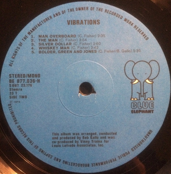 The Vibrations -The Vibrations