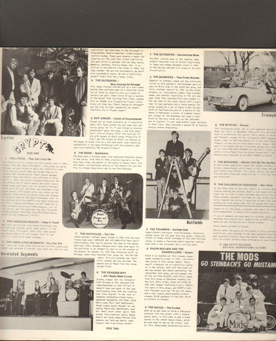 Various - Back From The Grave Volume Two