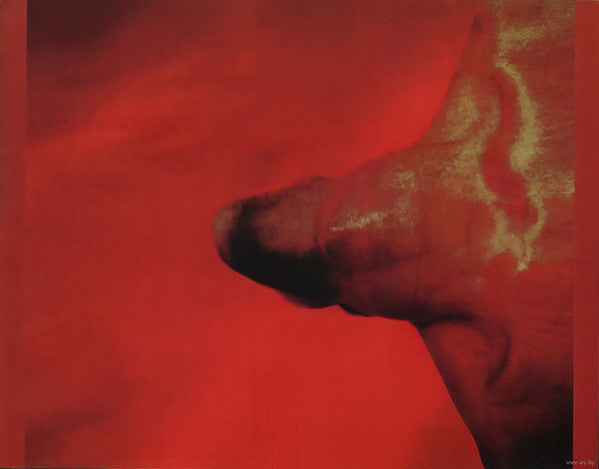 Steve Walsh -Glossolalia