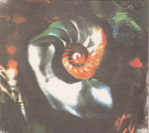 Pearl Jam -Oceans