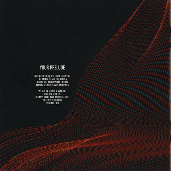 Susanne Sundfør -The Silicone Veil