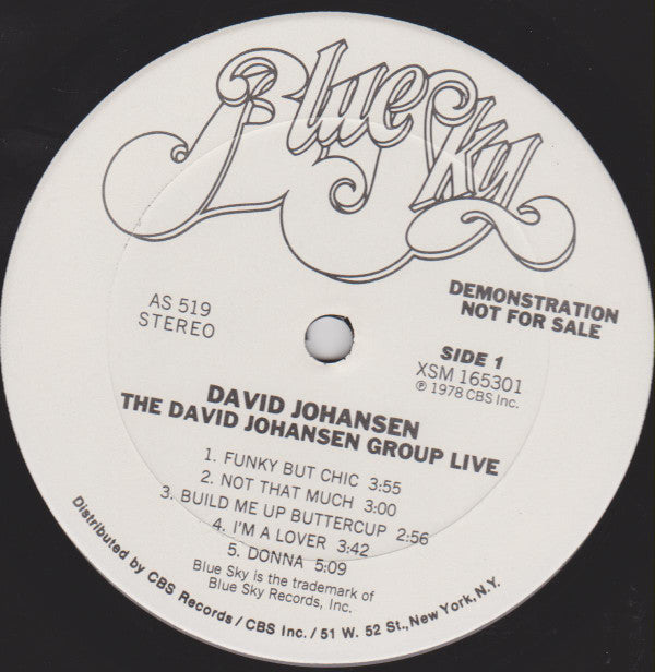 David Johansen Group -The David Johansen Group Live
