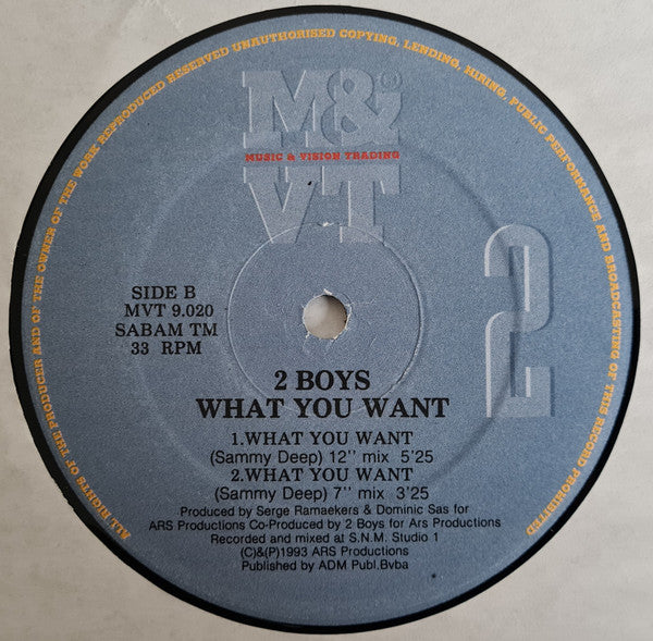 2 Boys* -What You Want