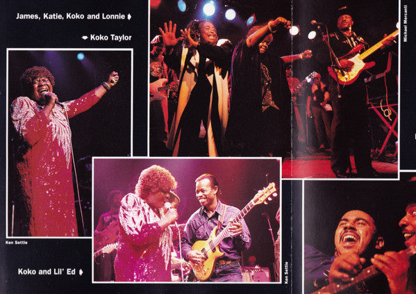 Various - The Alligator Records 20th Anniversary Tour