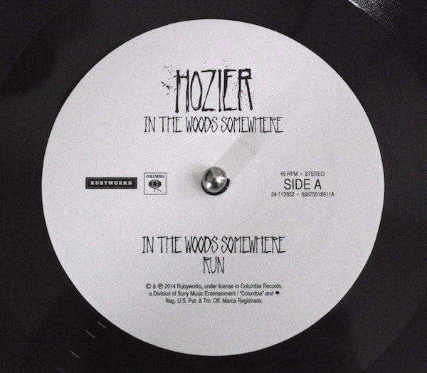 Hozier -In The Woods Somewhere