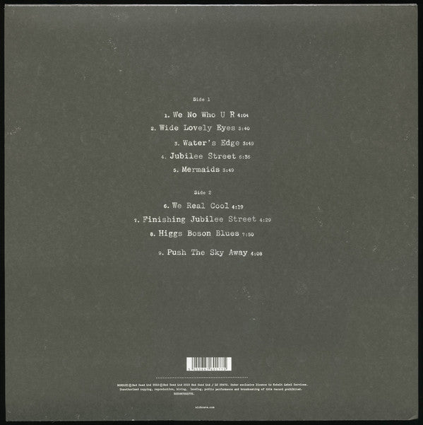 Nick Cave & The Bad Seeds -Push The Sky Away