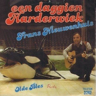 Frans Nieuwenhuis -Een Daggien Harderwiek