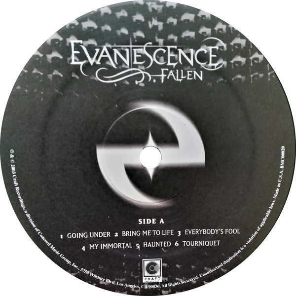 Evanescence -Fallen