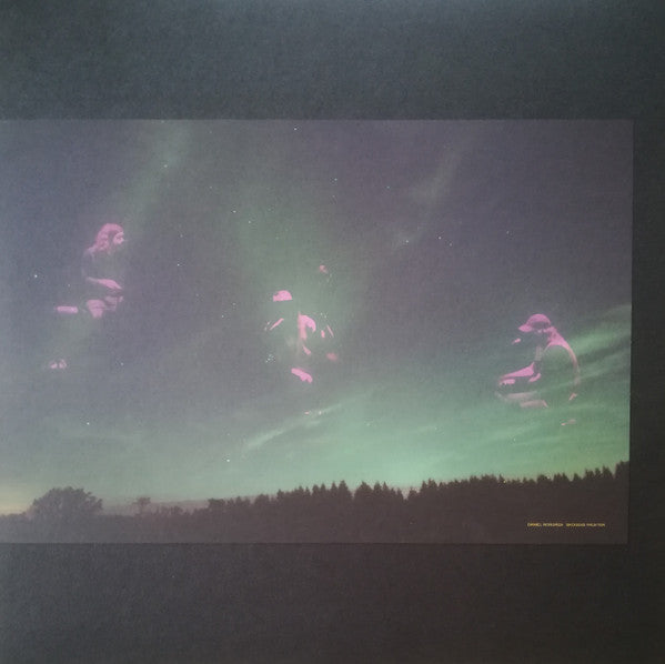 Daniel Norgren -Skogens Frukter
