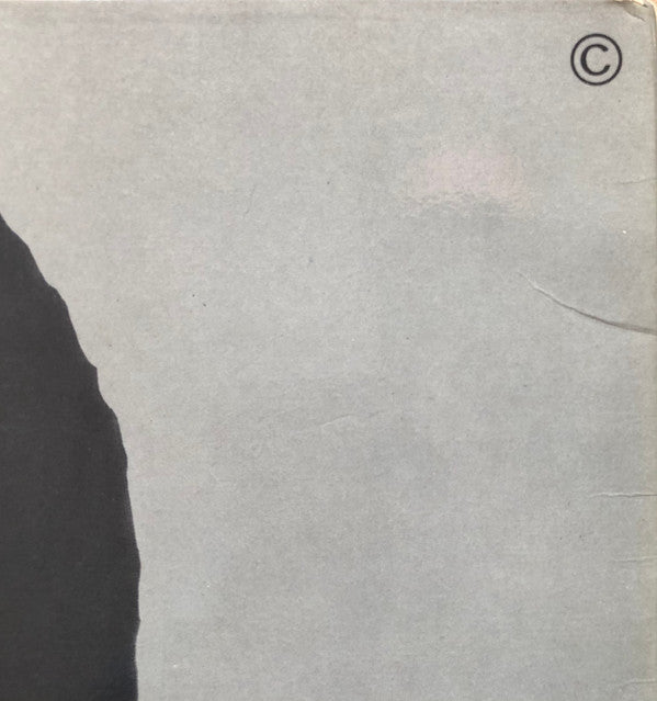 Nina Simone - A Portrait Of Nina