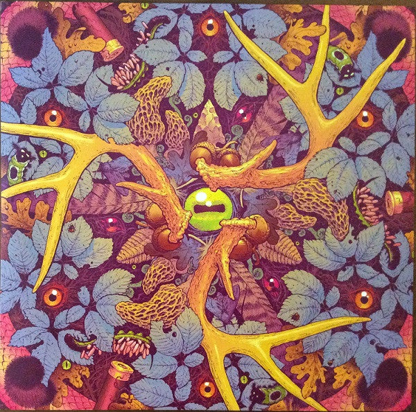 Tyler Childers -Country Squire