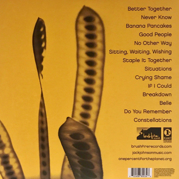 Jack Johnson - In Between Dreams