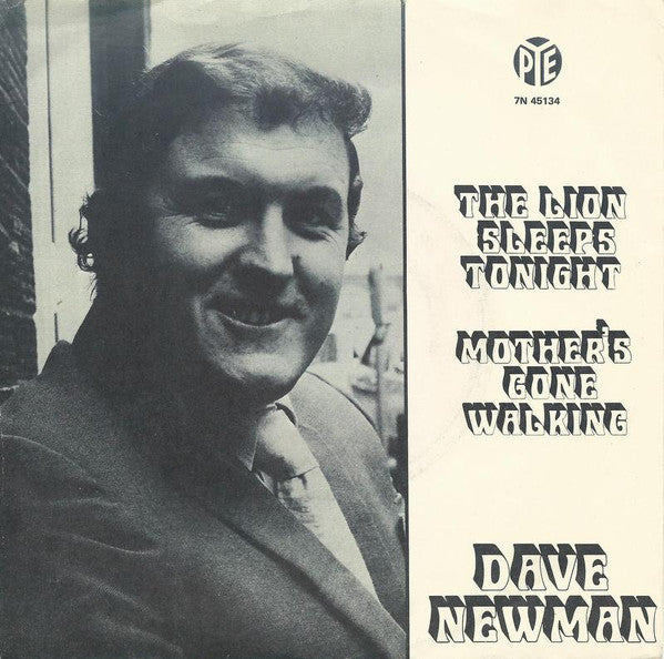 Dave Newman (3) -The Lion Sleeps Tonight