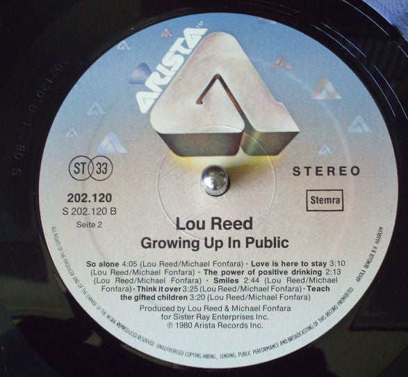 Lou Reed -Growing Up In Public