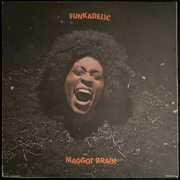 Funkadelic -Maggot Brain