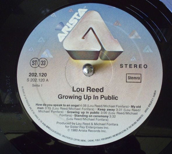 Lou Reed -Growing Up In Public