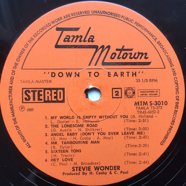 Stevie Wonder -Down To Earth