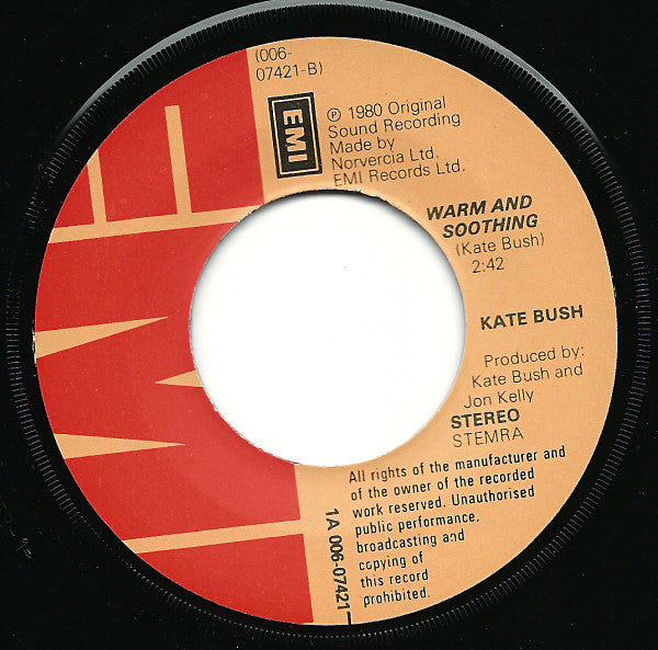 Kate Bush -December Will Be Magic Again