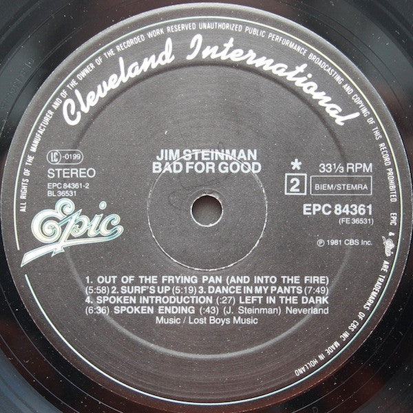 Jim Steinman -Bad For Good