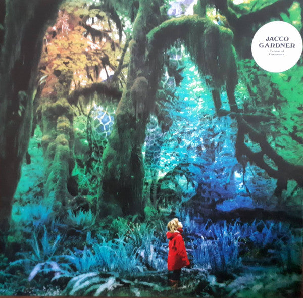 Jacco Gardner -Cabinet Of Curiosities