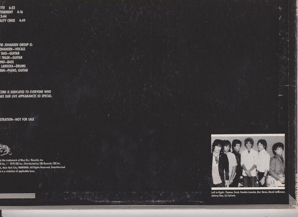 David Johansen Group -The David Johansen Group Live
