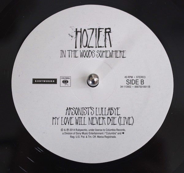 Hozier -In The Woods Somewhere