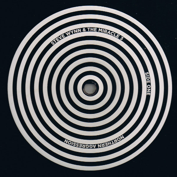 Steve Wynn & The Miracle 3 -Northern Aggression