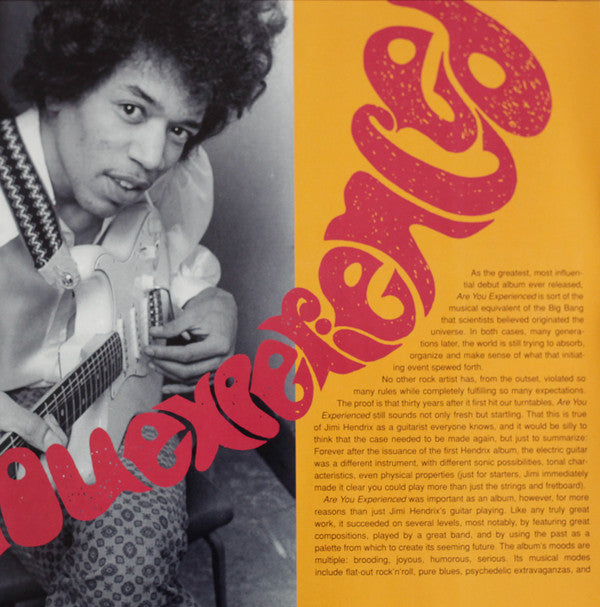 The Jimi Hendrix Experience -Are You Experienced