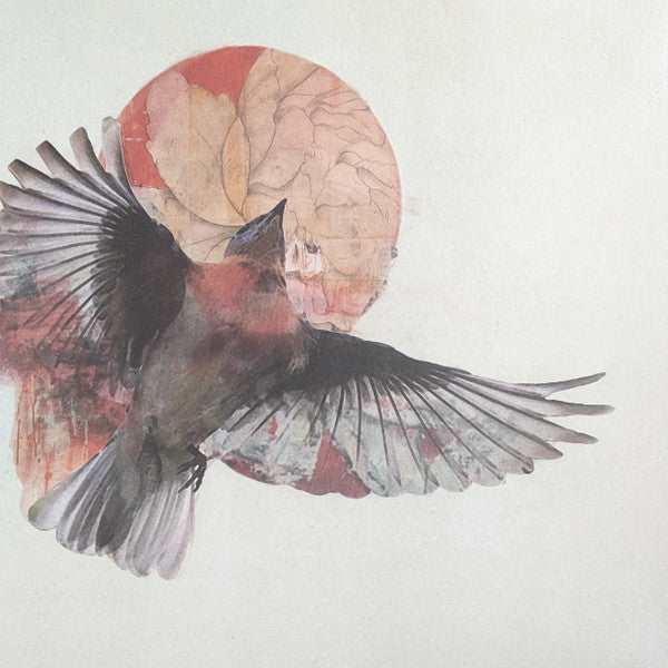 Trampled By Turtles -Wild Animals