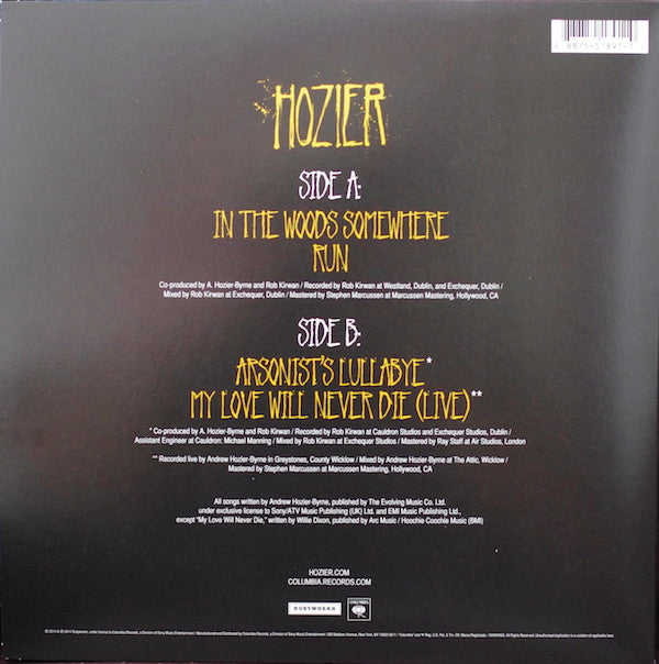 Hozier -In The Woods Somewhere