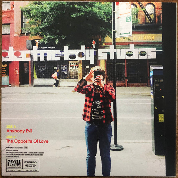 Ryan Adams -Big Colors