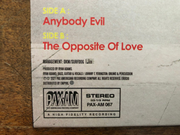 Ryan Adams -Big Colors