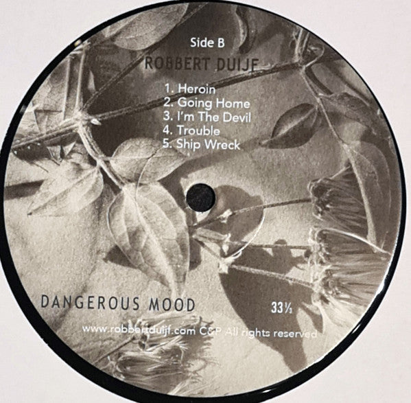 Robbert Duijf -Dangerous Mood